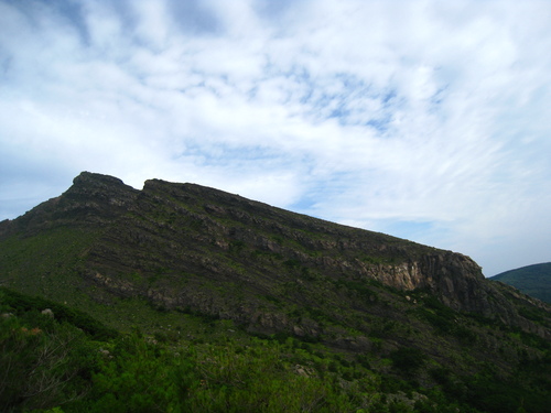 b0160957_17104639.jpg