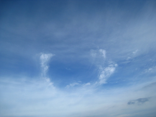 b0160957_1711940.jpg