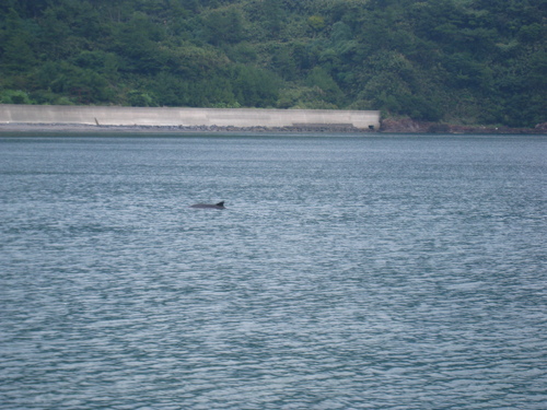 b0160957_17401370.jpg