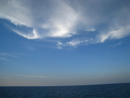 b0160957_17491743.jpg