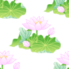 b0181457_111024.gif