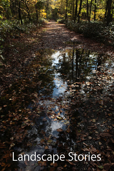 e0083559_1485353.jpg