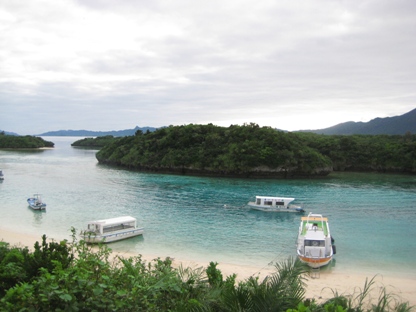 f0036263_22628.jpg
