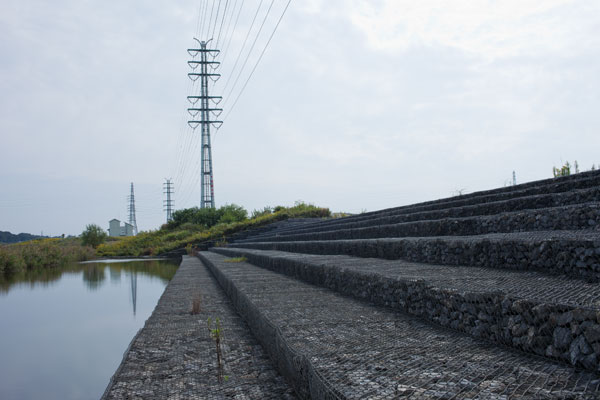 2010/10/18　見沼自然公園から実家まで_b0171364_1048664.jpg