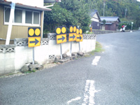 e0130264_18636.jpg