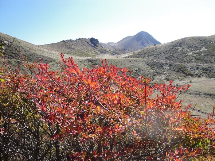 紅葉の九重連山_f0016066_5153481.jpg