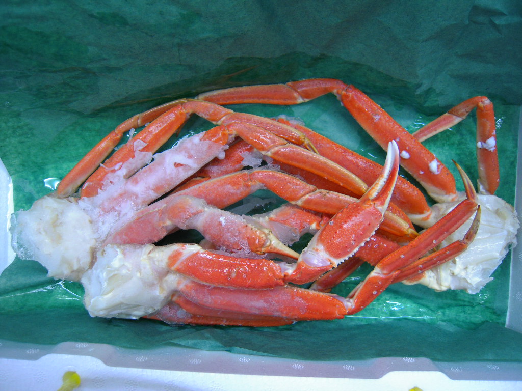 f0039672_20131754.jpg
