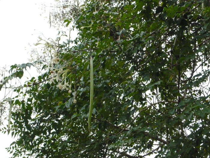 f0178278_10132155.jpg