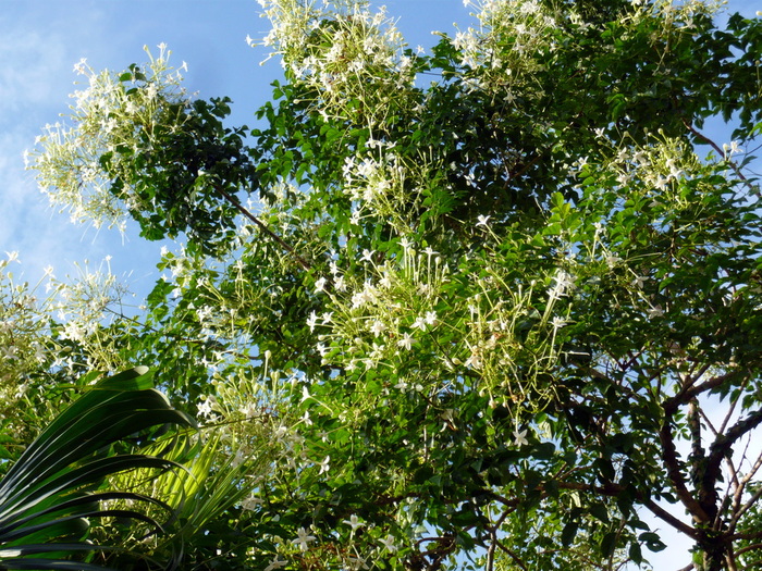 f0178278_10254566.jpg