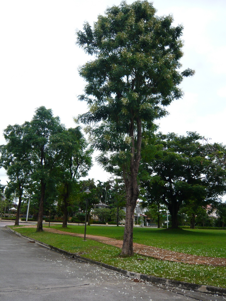 f0178278_14235316.jpg