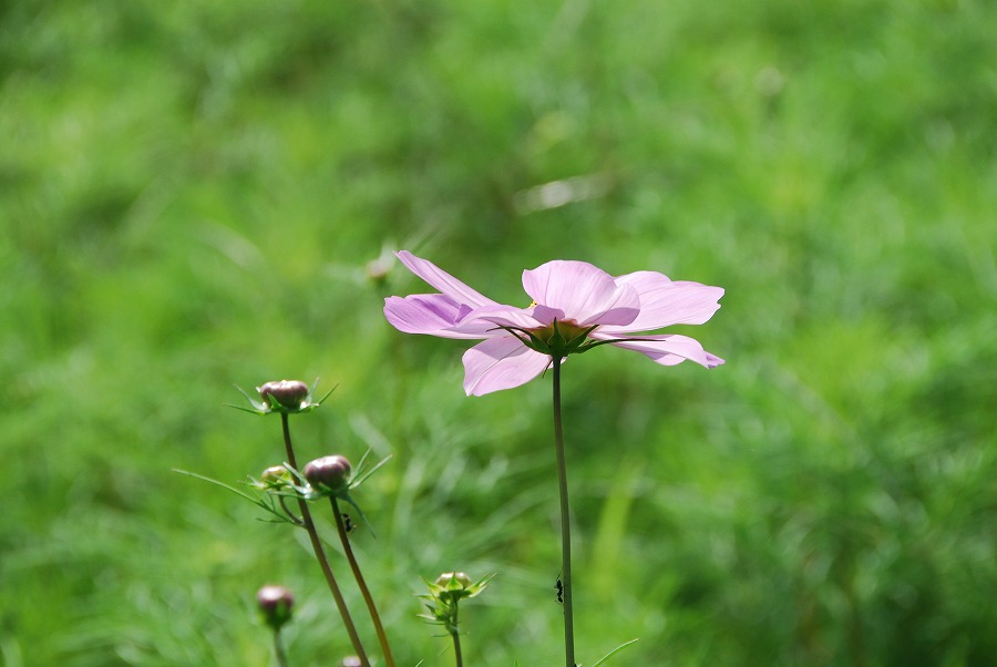 c0187781_01460.jpg
