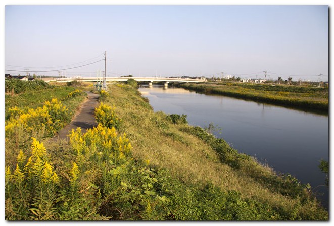 f0079990_103036.jpg