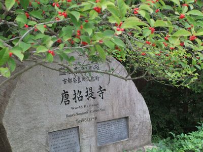 f0120102_1830957.jpg