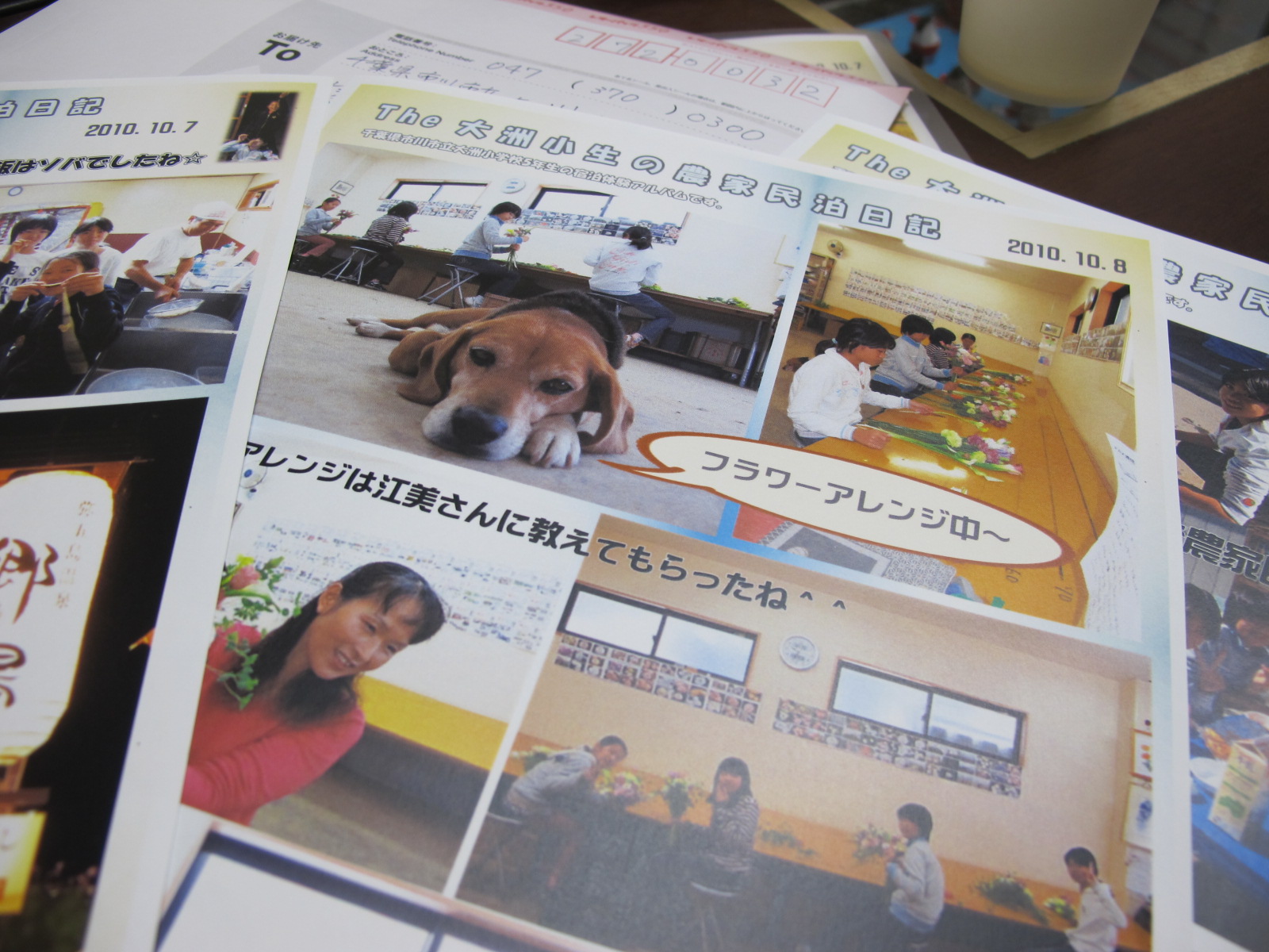 喜んでもらえるといいな~☆_b0152504_19553171.jpg