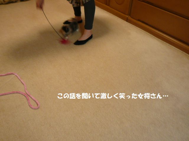 e0094407_20135510.jpg
