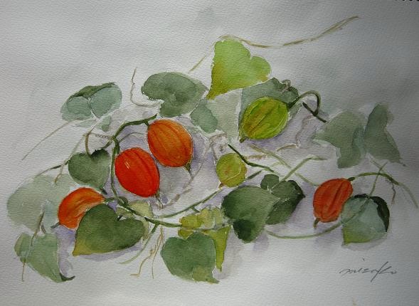 カラスウリ 水彩画 フレーム付き カラスウリ 水彩画 フレーム付き