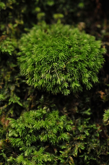 b0128609_2484343.jpg