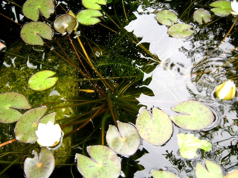 c0227612_14564059.jpg