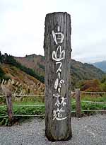 c0009413_20272883.jpg