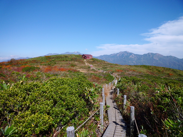 福井県の大長山　赤兎山に登りました　_d0170615_7345531.jpg