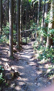 熊野神社と熊野古道_b0147522_1136098.jpg