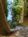 d0162257_1085913.jpg