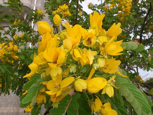 c0180460_23531389.jpg