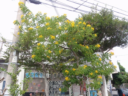 c0180460_235333100.jpg
