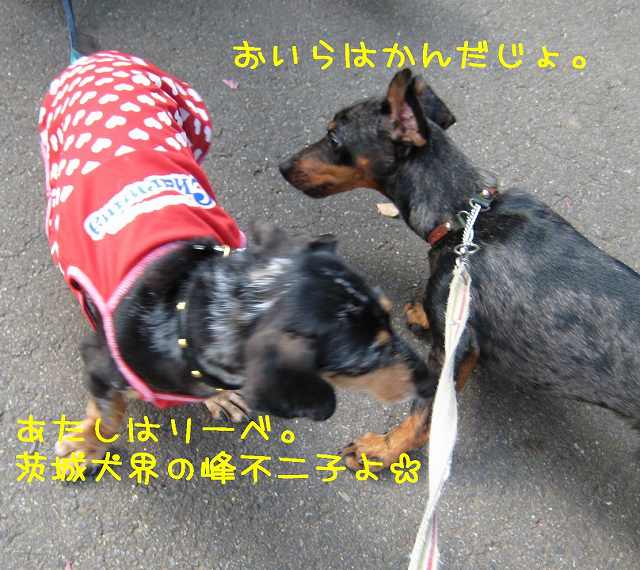 a0091865_20402625.jpg