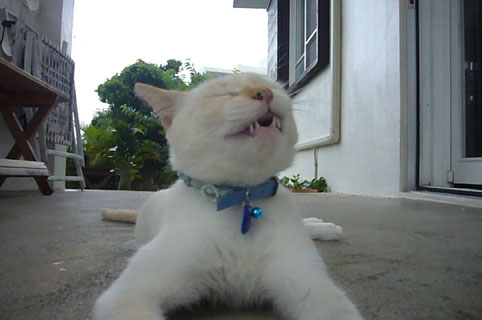 going to south._c0153966_22384327.jpg