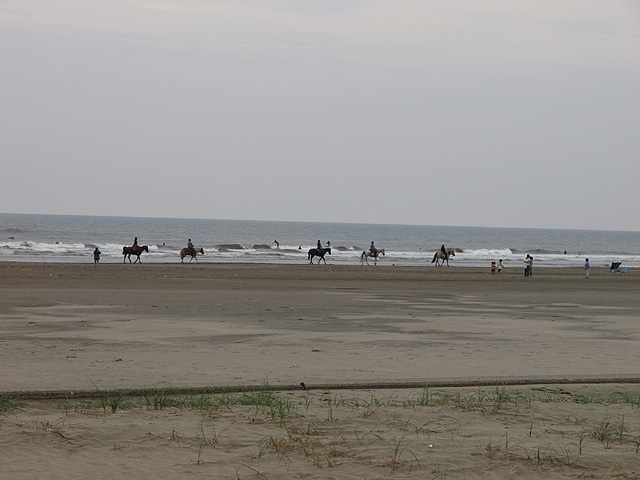 b0006870_18134086.jpg