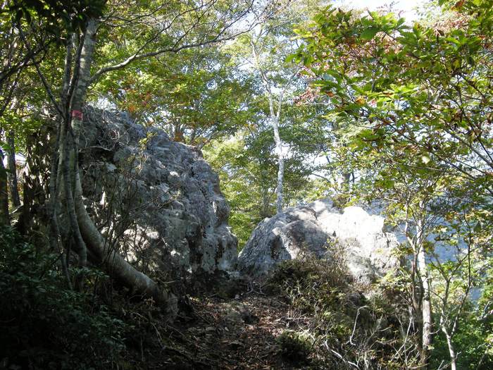 b0185573_57255.jpg