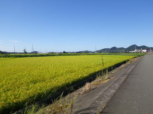 西日本、自転車旅行、中国地方、広島、山口_e0211273_1710567.jpg