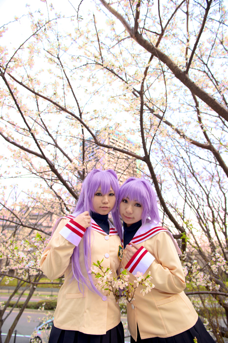 CLANNAD ～藤林姉妹～ : ☆ Riyo photo blog ☆