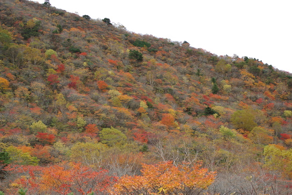 a0094280_22394729.jpg