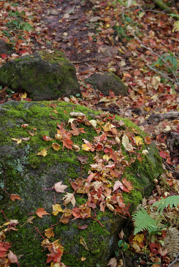 a0094280_22395672.jpg