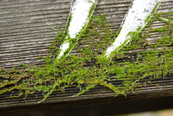 a0094280_22425660.jpg