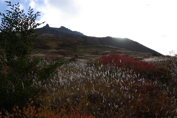 a0094280_2249238.jpg