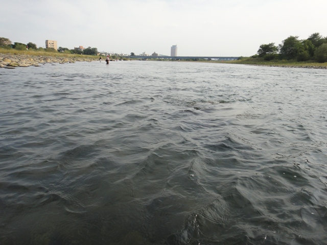 c0157482_21228.jpg