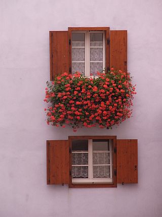 f0169885_2315538.jpg