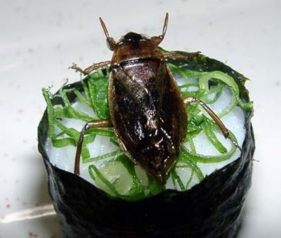 ★海外ブログでの日本の噂~昆虫寿司があるんだって~!?_a0028694_9221378.jpg