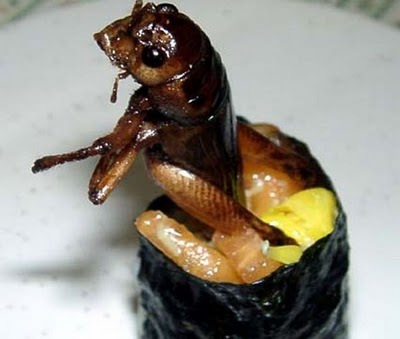 ★海外ブログでの日本の噂~昆虫寿司があるんだって~!?_a0028694_9242391.jpg