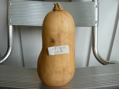 食べる。時々、お仕事。〜その2〜_a0117794_133696.jpg