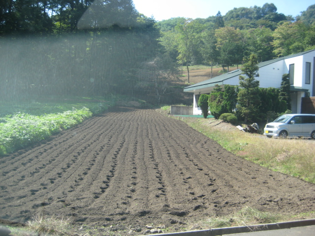 c0099395_1114183.jpg