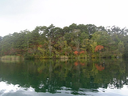 a0126797_163478.jpg