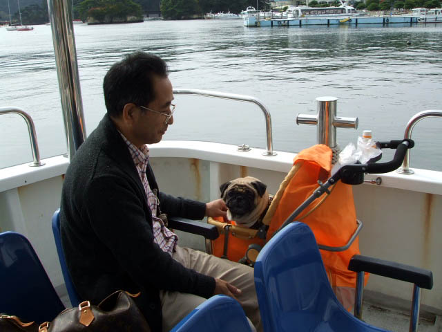 プチ旅1 宮城県松島_f0019498_217161.jpg