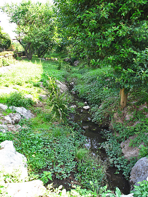 c0163001_014750.jpg