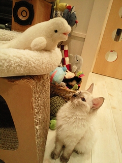 c0181601_1363038.jpg