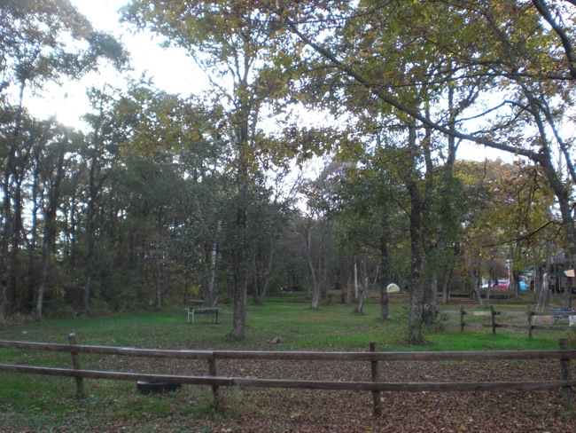 e0163202_2062926.jpg