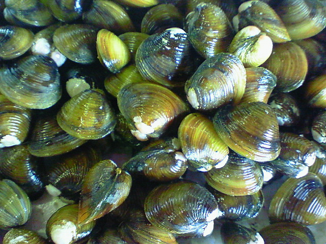 f0175403_2034775.jpg